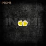 205. Hosomaki Takuan 8 stk (V)