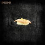 462. Nigiri Flamberet Tun